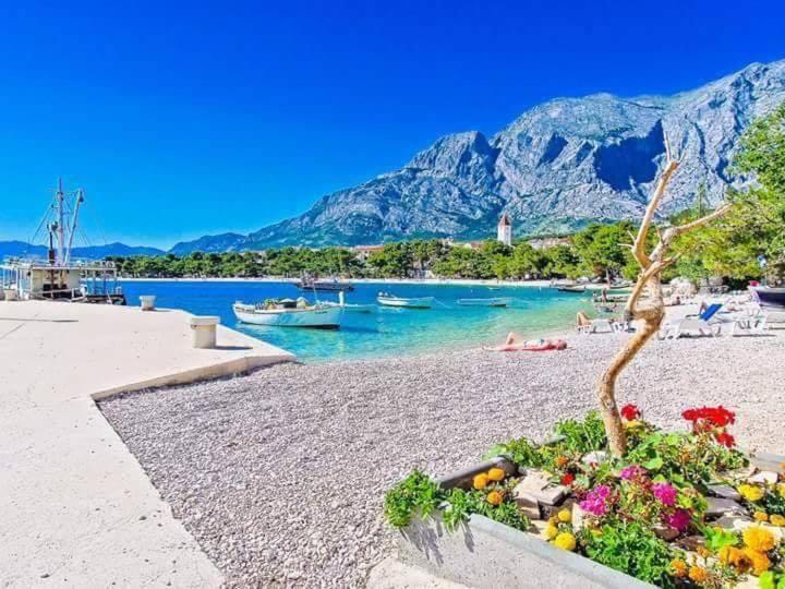 Apartments Andrijanic Baška Voda المظهر الخارجي الصورة